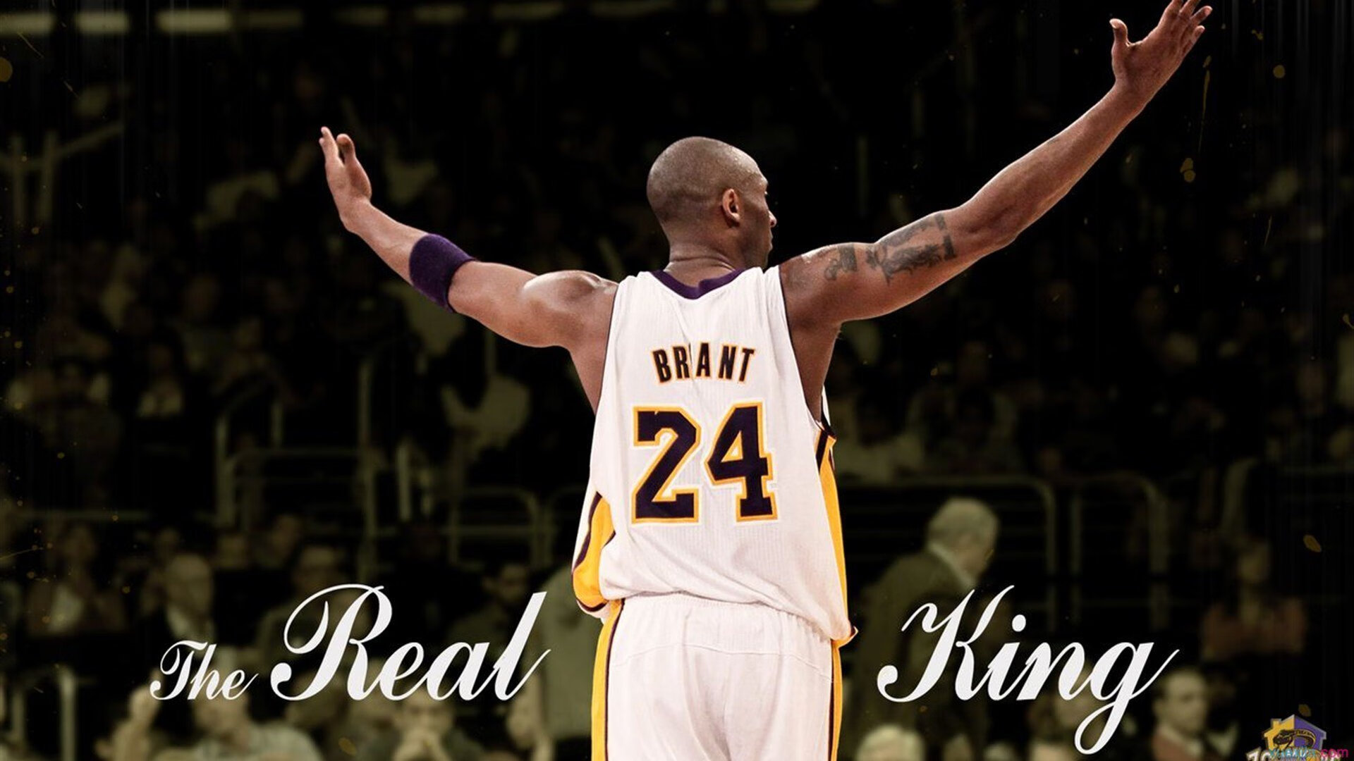 LCS世界赛经验不足引发讨论，lcs比赛